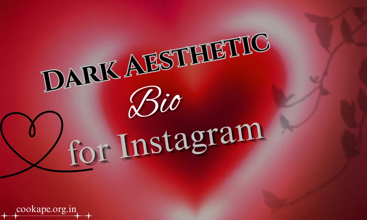 55+ Crafting the Perfect Dark Aesthetic Bio Instagram for Ideas (2026)