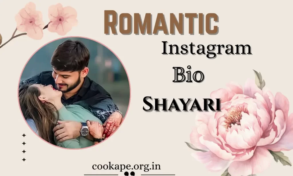 Instagram Bio Shayari