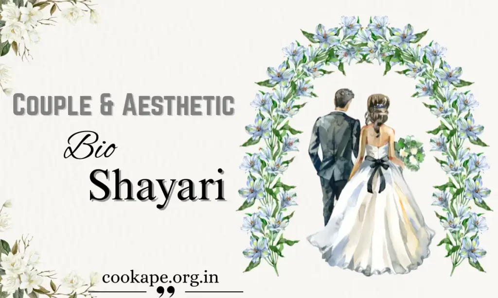 Instagram Bio Shayari