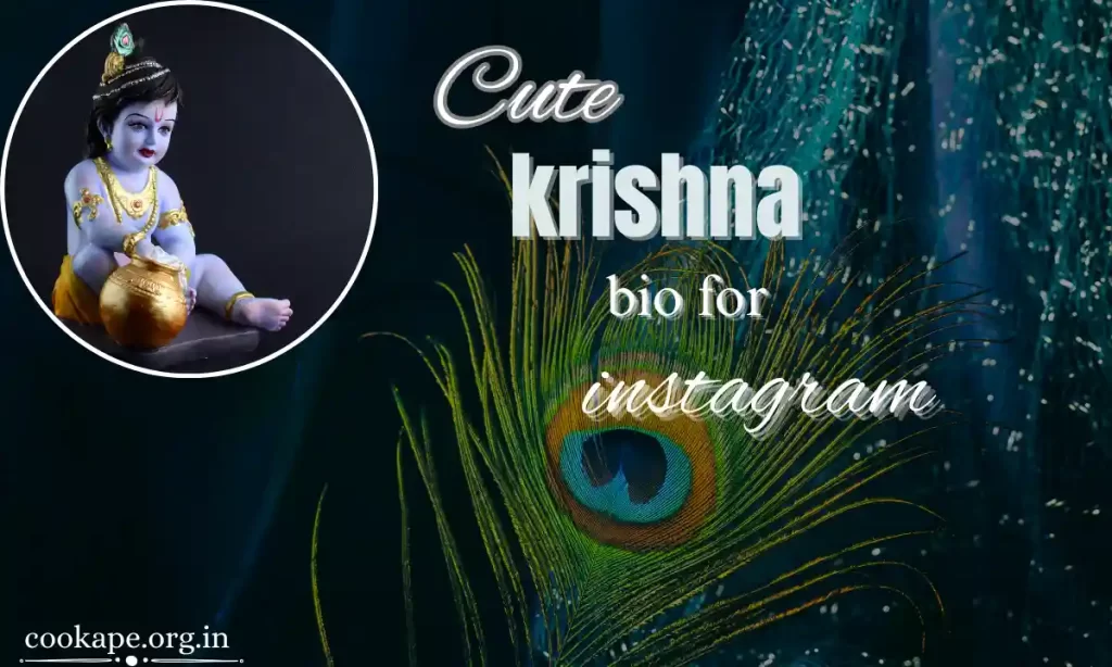 Krishna Bio for Instagram