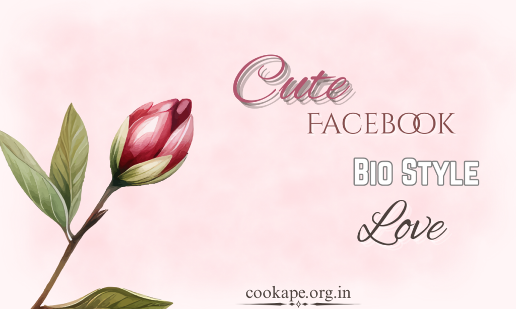 Facebook Bio Style Love