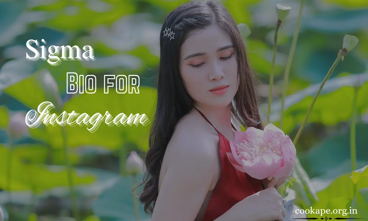 1120+ Sigma Bio for Instagram Meaning & How to Craft One (2026)