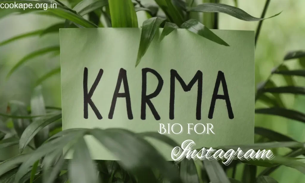 Karma Bio for Instagram