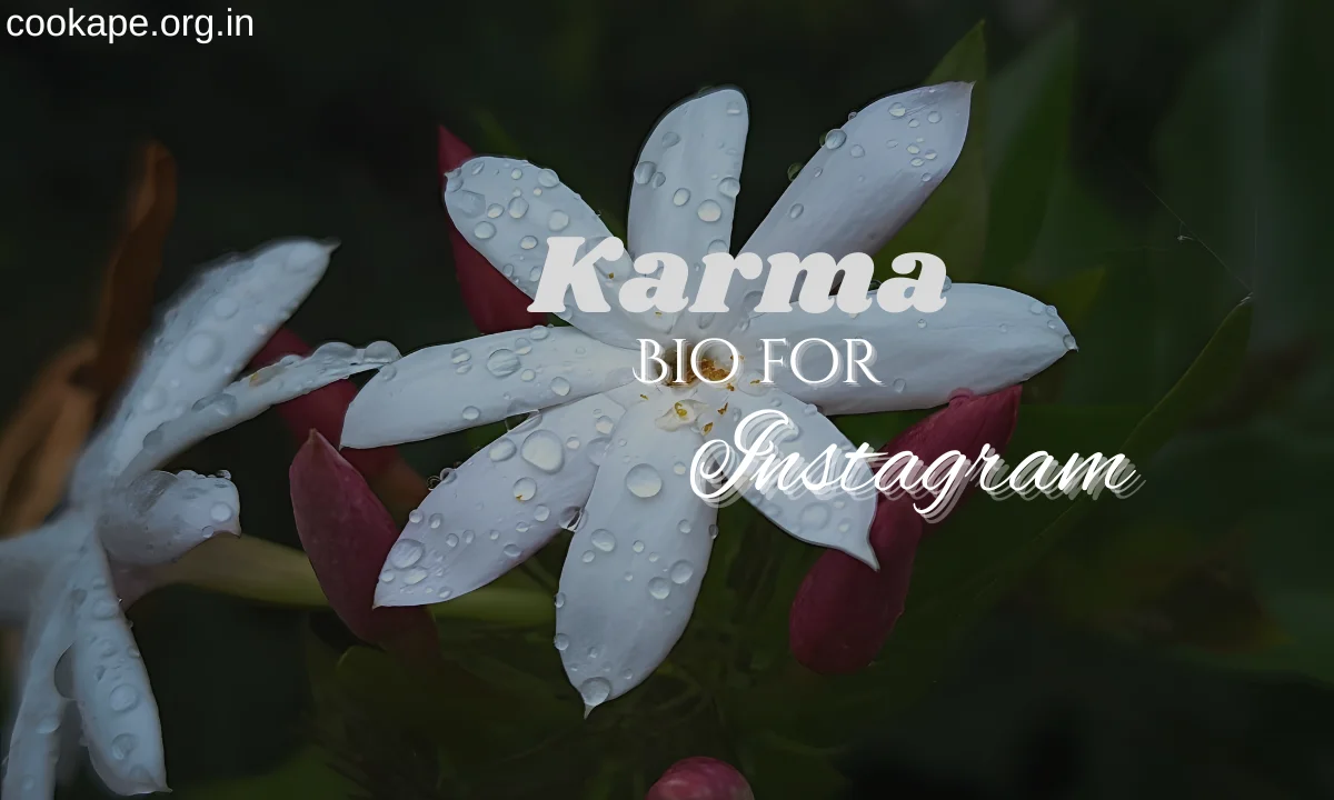 100+ Karma Bio for Instagram, Meaningful, Stylish & Powerful Bio (2026)